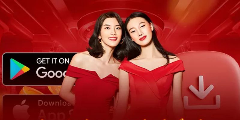 Các lưu ý quan trọng